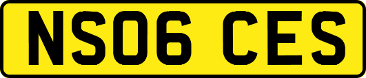 NS06CES