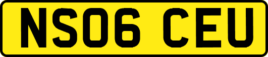 NS06CEU