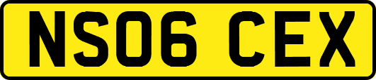 NS06CEX