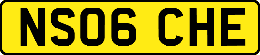 NS06CHE