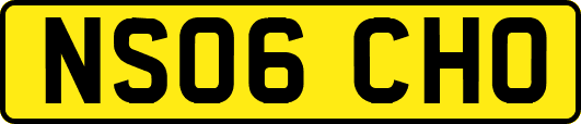 NS06CHO