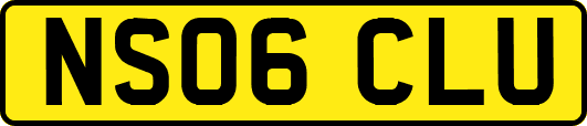 NS06CLU