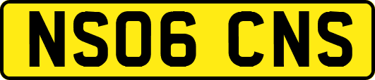 NS06CNS