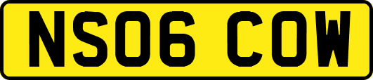 NS06COW