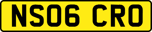 NS06CRO