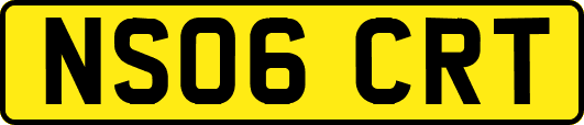 NS06CRT