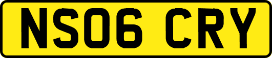 NS06CRY