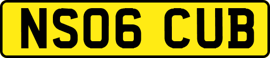 NS06CUB
