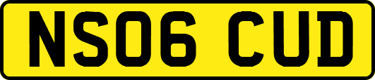 NS06CUD
