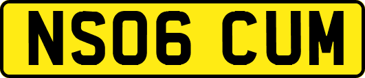 NS06CUM