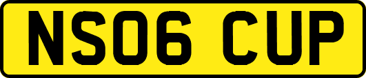 NS06CUP