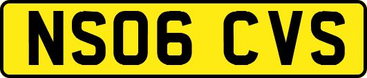 NS06CVS