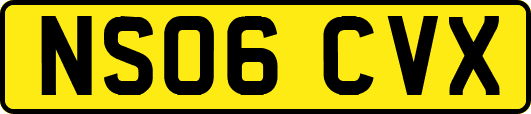 NS06CVX