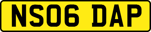 NS06DAP