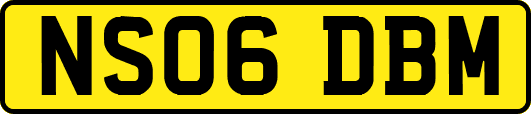 NS06DBM