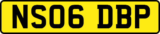 NS06DBP
