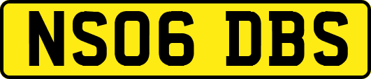 NS06DBS