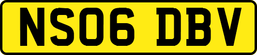 NS06DBV