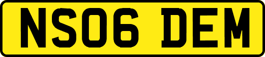 NS06DEM