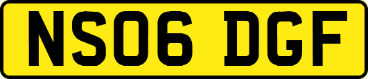 NS06DGF