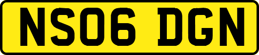 NS06DGN