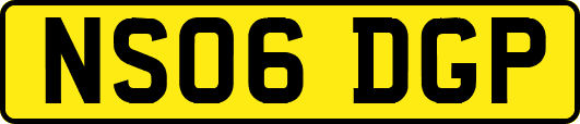 NS06DGP