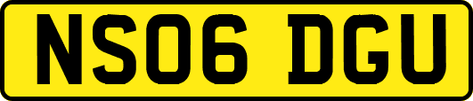 NS06DGU