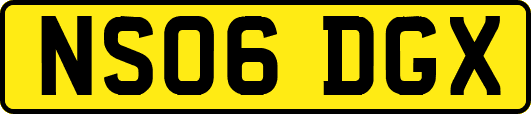 NS06DGX