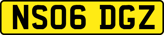 NS06DGZ