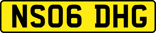 NS06DHG