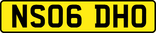 NS06DHO