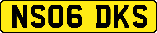 NS06DKS