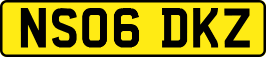 NS06DKZ