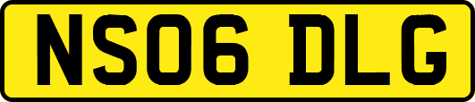 NS06DLG