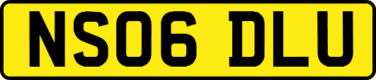 NS06DLU