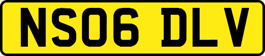 NS06DLV
