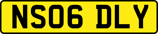 NS06DLY