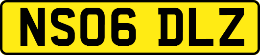 NS06DLZ