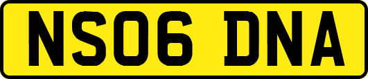 NS06DNA