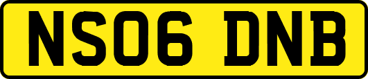 NS06DNB