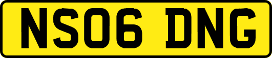 NS06DNG