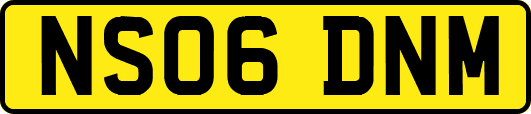 NS06DNM