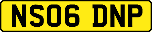 NS06DNP