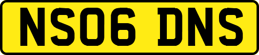 NS06DNS