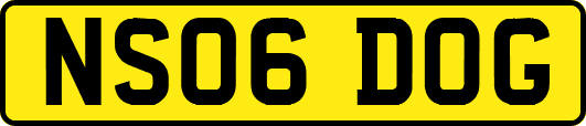 NS06DOG
