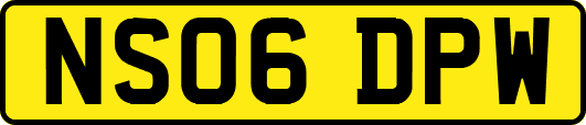NS06DPW