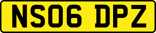 NS06DPZ