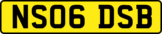 NS06DSB
