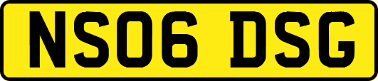 NS06DSG