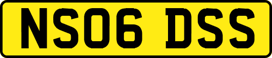 NS06DSS